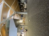 IMG_8698.jpeg
