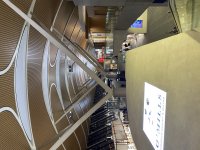 IMG_8708.jpeg