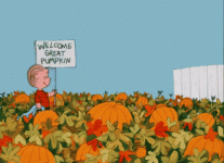 1746675533827.gif