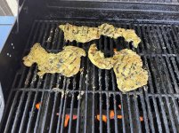IMG_2054.jpeg