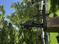 IMG_2045.jpeg