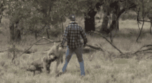 IMG_2076.gif