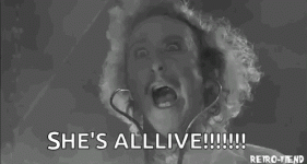 1747065642121.gif