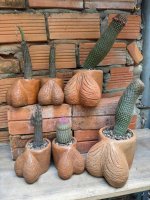 IMG_5980.jpeg