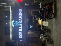 IMG_6064.jpeg