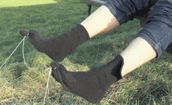 1747324060122.gif