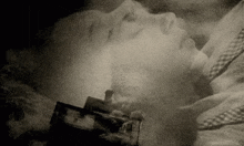 1747452402769.gif