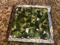 IMG_2147.jpeg