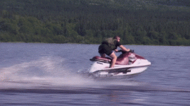 giphy (9).gif