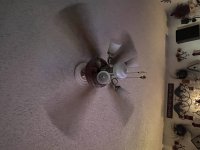 IMG_2190.jpeg