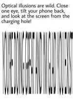 IMG_3320.jpeg