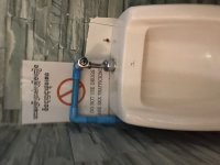 IMG_8763.jpeg