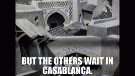 1747963638096.gif