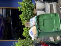 IMG_8791.jpeg