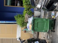 IMG_8789.jpeg