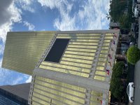 IMG_8812.jpeg