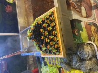 IMG_8829.jpeg