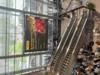IMG_6457.jpeg