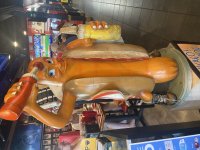 IMG_4570.jpeg