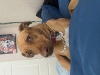 IMG_3327.jpeg