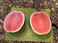 IMG_2260.jpeg