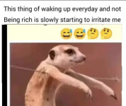 1748269389450.png