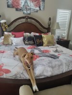 IMG_3329.jpeg