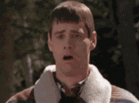 IMG_2291.gif