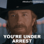 200w (5).gif