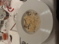 IMG_0204.jpeg
