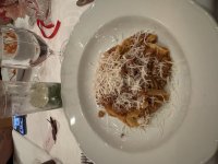IMG_0206.jpeg