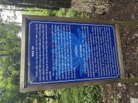 IMG_6593.jpeg