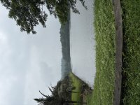 IMG_6604.jpeg