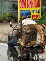 IMG_6612.jpeg