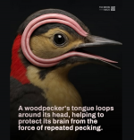 1748620494276.png