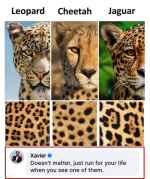 1748897325651.png