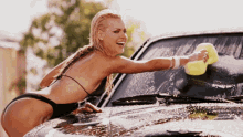 IMG_2365.gif