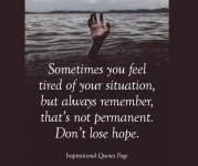 1749044474447.png