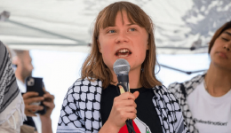 Greta-thunberg.png