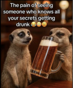 1749152918034.png