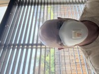 IMG_2137.jpeg