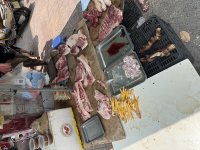 IMG_7082.jpeg