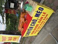 IMG_7120.jpeg