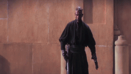 IMG_2435.gif