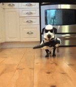 1749583621727.gif