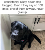 1749746550130.png