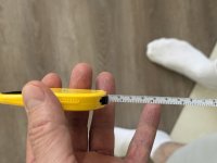 IMG_2150.jpeg