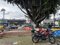 IMG_3195.jpeg