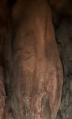 IMG_2488.jpeg