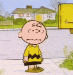 IMG_2501.gif